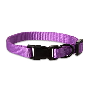Vibrant Life Polyester Adjustable Dog Collar, Purple, S