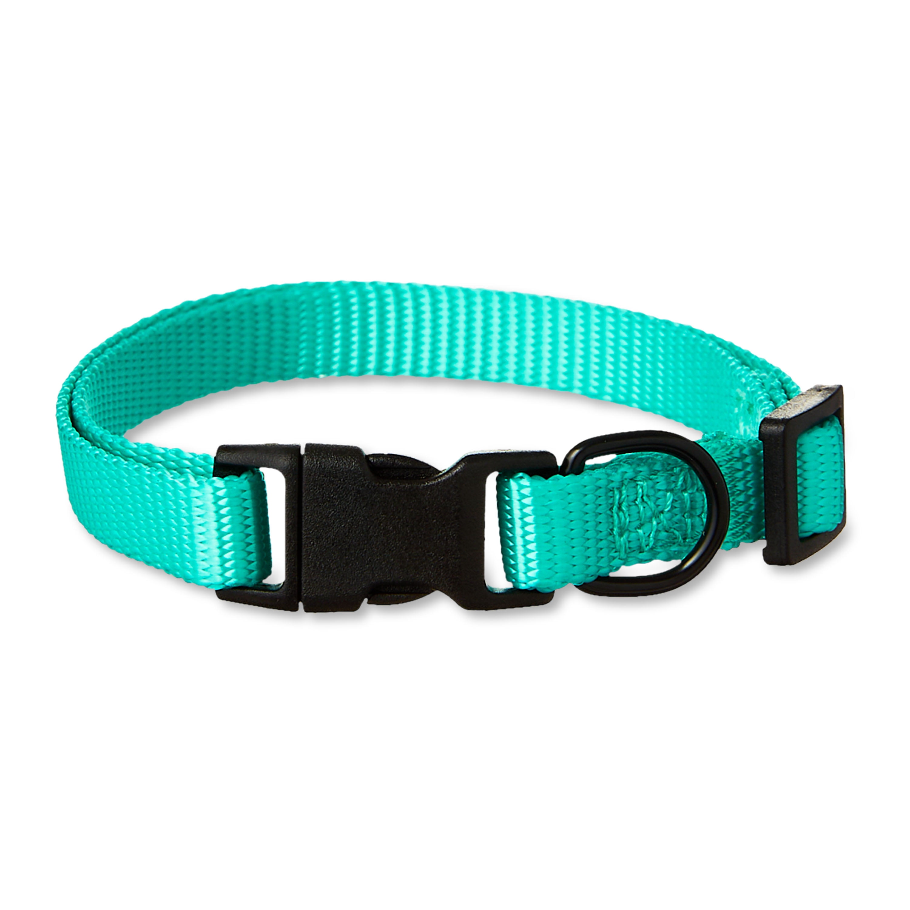 Vibrant Life Polyester Adjustable Dog Collar, Teal, S