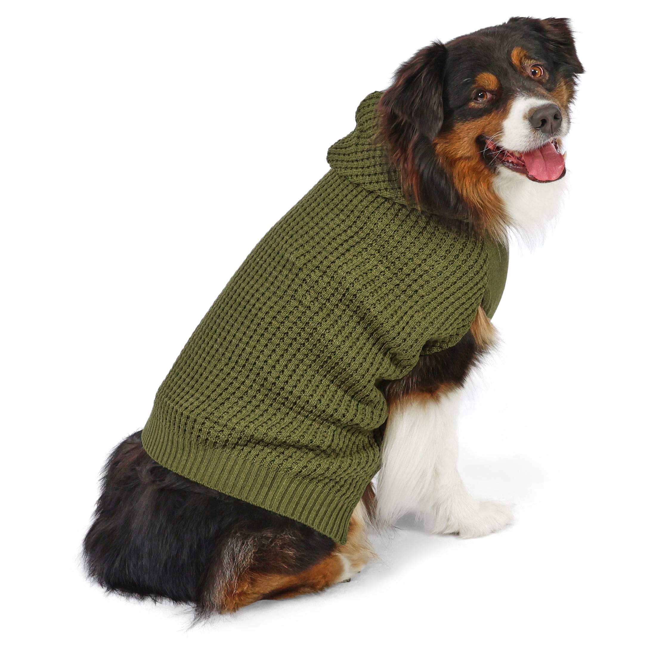 Vibrant Life Waffle Knit Sweater for Dogs, Green, L