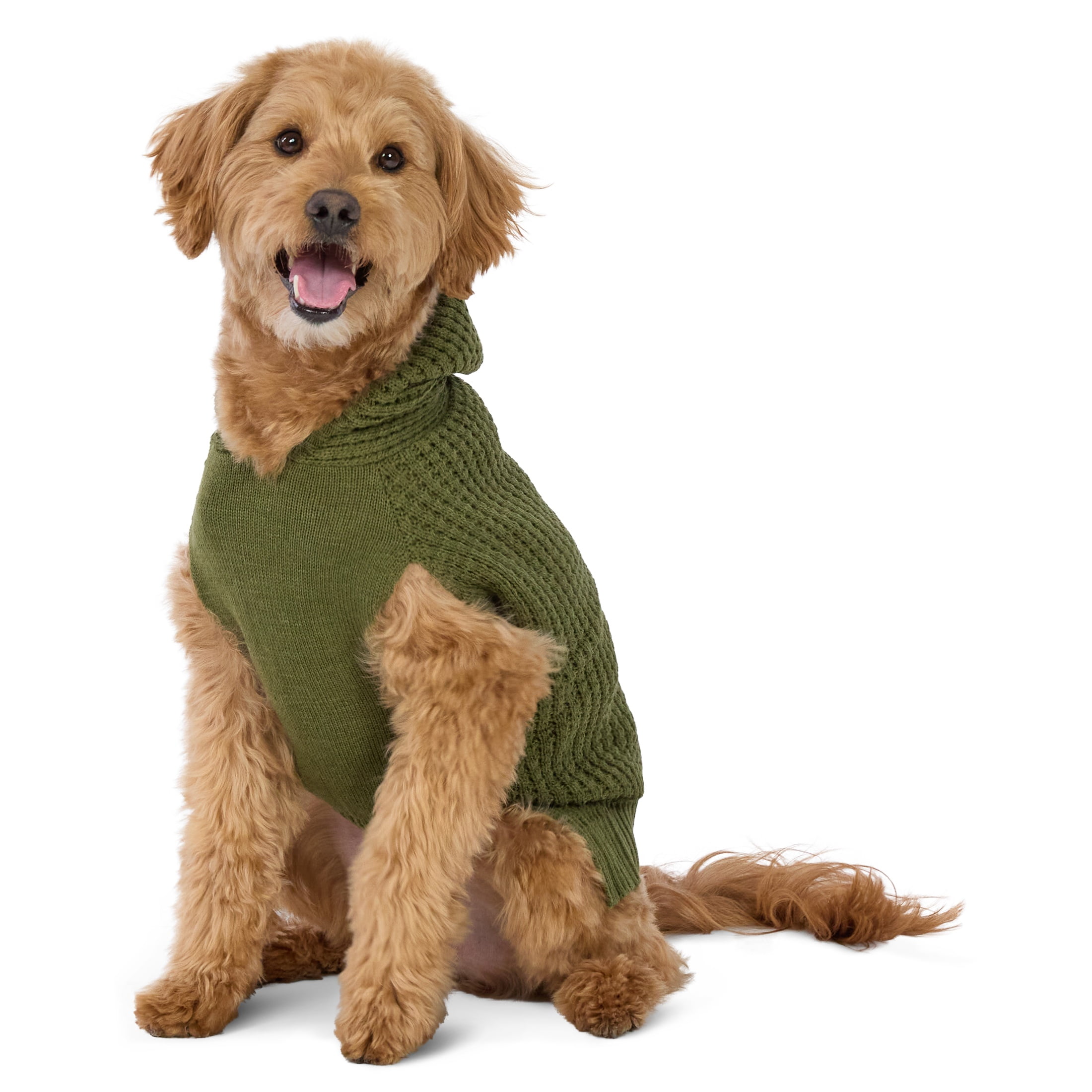 Vibrant Life Waffle Knit Sweater for Dogs, Green, M