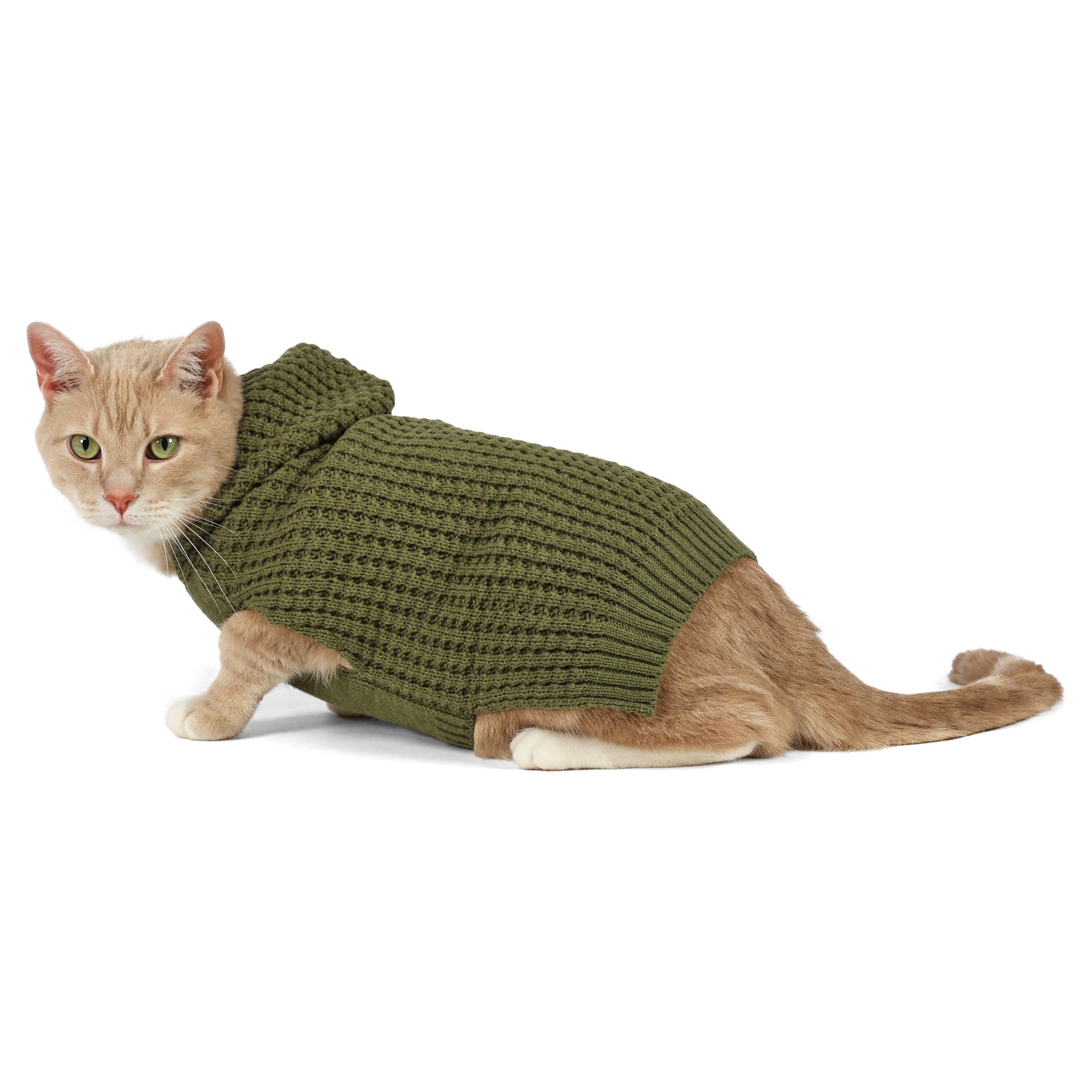 Vibrant Life Waffle Knit Sweater for Dogs and Cats, Green, S