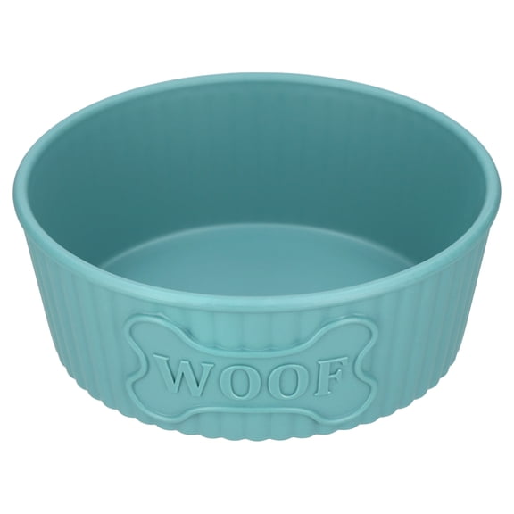 Vibrant Life Medium 3.6-Cup Woof Pet Bowl, Teal
