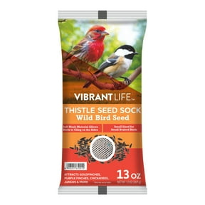 Vibrant Life Thistle Seed for Finches Bird Food, Nyjer, 13 oz Prefilled Nylon Sock Feeder
