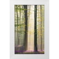 thumbnail image 1 of VLAICU, Denisa 16x24 White Modern Wood Framed Museum Art Print Titled - Misty Sunrise In Hallerbos, 1 of 4