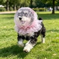 thumbnail image 1 of VMWMSSR Polka Dot Tulle Dog Sun Hat Elastic Mesh Puppy Head Cover Breathable Pet Sun Protection Bonnet For Small Medium Dogs Outdoor Walking Park Travel(Pink-9.84"), 1 of 3