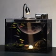 thumbnail image 1 of VNEKVA 2.5Gal Desktop Fish Tank Kit – Ultra Clear Glass Aquarium with USB Filter, USB Aquarium Light & Complete Aquascape Set, 1 of 8
