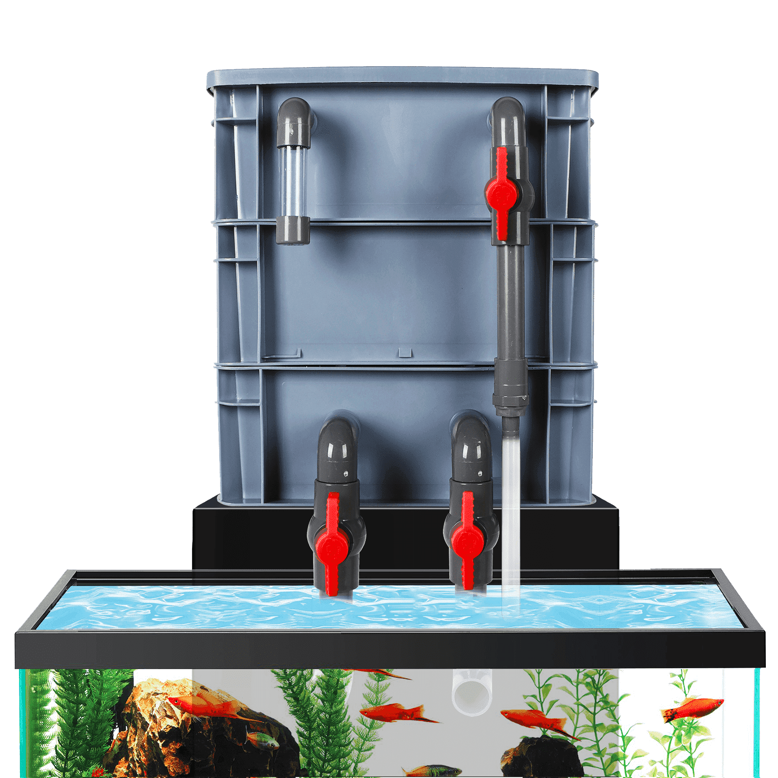 ae-shop aquarium filter fish tank upper trickle box filters system Productos para animales Imported. How to set up filters
