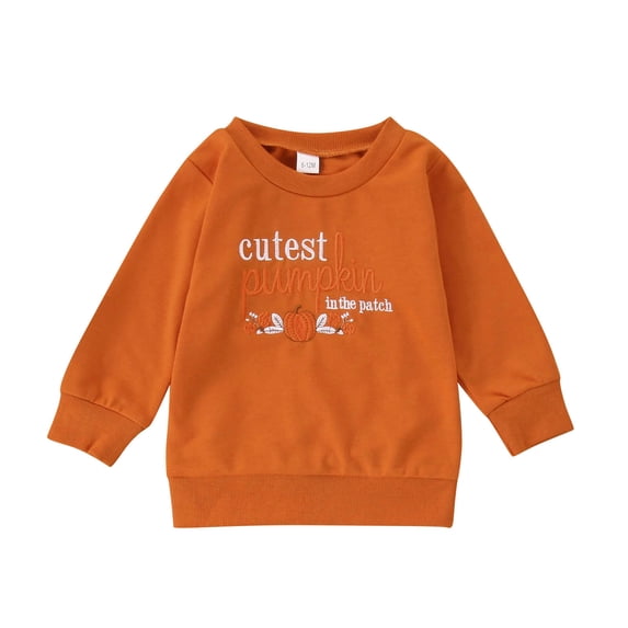 VNKIDY Toddler Kids Crew Neck Long Sleeve Pumpkin Letter Floral Embroidery Soft Loose Fall Halloween Pullover Sweatshirt Tops For Boys Girls Trendy Pullover 6-12 Months