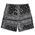 thumbnail image 1 of VNKIDY Versatile Men Shorts Men's Boho Drawstring Waist Paisley Print Summer Beach Shorts Autumn, 1 of 2