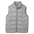 thumbnail image 1 of VNKIDY Women Outerwear Vests Winter Padded Vest Outerwear Short Sleeveless Quilted Gilet Coat With Fashionable Stand Collar For Cold Weather Cute Tops, 1 of 3