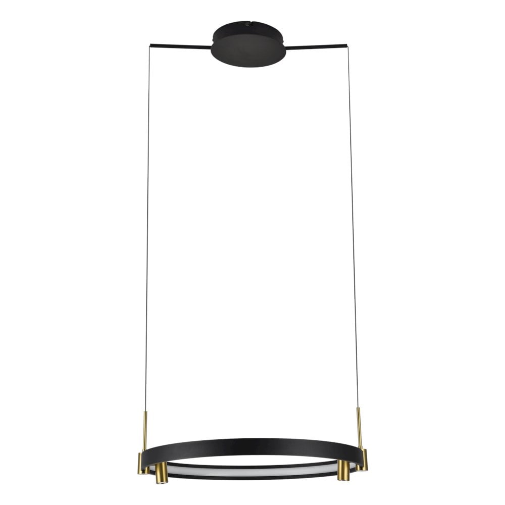 Tania 23" Black and Brass LED Ring Chandelier