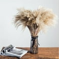 thumbnail image 1 of VONTER 100pcs Dried Pampas Grass Plumes ,17 Inch Tall Natural Dried Flowers ,Pampas Grass vase,Arrangements Artificial Faux Reed Flower Stems Bunch for Wedding Vase Door Wreath Decor Brown, 1 of 7