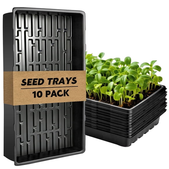 VOROLAK 10 Pack 1020 Seed Starting Trays, Extra Thick Heavy Duty Growing Trays, No Holes, No Leak, Reusable Propagation Flats for Microgreens, Seedlings, Plant Germination, Fodder and Transplant