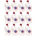 thumbnail image 1 of VP Racing 5.5 Gal Motorsport Racing Utility Jug, Patriotic (12 Pack), 1 of 10