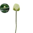 thumbnail image 1 of VQPeo Artificial Lotus Flower Arrangement, Fake Water Lily Home Decor for Vases & Fish Tanks(White), 1 of 6
