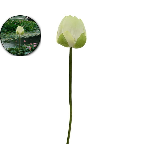 VQPeo Artificial Lotus Flower Arrangement, Fake Water Lily Home Decor for Vases & Fish Tanks(White)