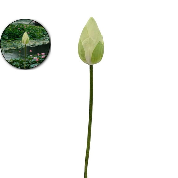 VQPeo Artificial Lotus Flower Arrangement, Fake Water Lily Home Decor for Vases & Fish Tanks(White)