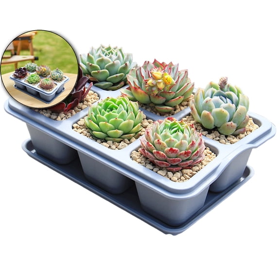 VQPeo Mini Succulent Plant Containers, Indoor Outdoor Flower Pots with Tray for Home Garden Kitchen Decor