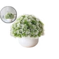 thumbnail image 1 of VQPeo Small Plastic Artificial Potted Plant, Desktop Simulation Greenery, Windowsill Decorative Fake Herb for Home Office & Living Room Accents, 1 of 5