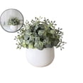 thumbnail image 1 of VQPeo Small Plastic Artificial Potted Plant, Desktop Simulation Greenery, Windowsill Decorative Fake Herb for Home Office & Living Room Accents, 1 of 5
