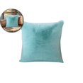 thumbnail image 1 of VQPeo Soft Cozy Pillow, 17.7x17.7 Inch Throw Pillow, Decorative Spring Pillow for Sofa, Couch, Living Room(Blue), 1 of 5