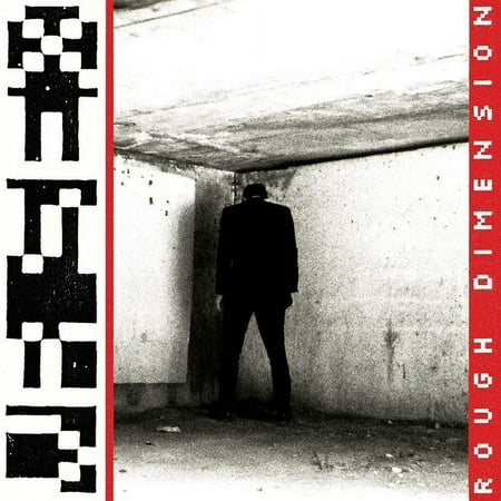 Rough Dimension [LP] - VINYL