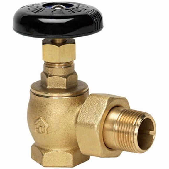 VRDAGSN6B 1.25 In. Bronze Steam Valve