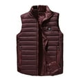 thumbnail image 1 of VSSSJ Men's Casual Zip Up Heated Vest Big and Tall Solid Color Sleeveless Stand Collar Waistcoat Fashion Smart Four Heating Zones USB Charging Vest Wine XXL, 1 of 4