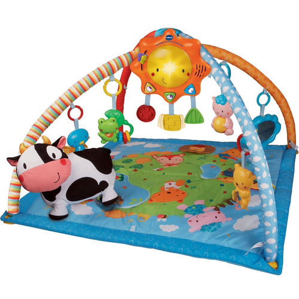 Vtech baby sales gym