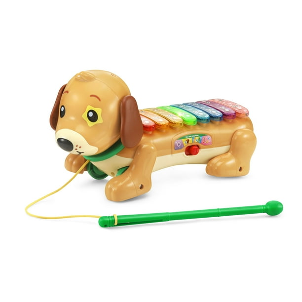 VTech Zoo Jamz Doggy Xylophone for Preschool Activities - Walmart