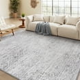 thumbnail image 1 of VUNATE 5'x7'Area Rug for Living Room Soft Washable Boho Rug Moroccan Bohemian Non-Slip Rugs Geometric Neutral Foldable Indoor Floor Carpet For Bedroom Dining Room Home Office Low Pile Decor Gray, 1 of 6
