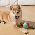 VUYUEN Dog Balls, Indestructible Dog Toy Ball for Aggressive Chewers