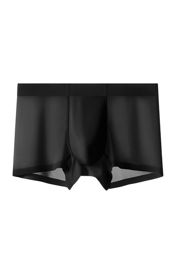 Men'S Bulge Briefs See Through Underwear Breathable Lightweight Low Rise Pouch Underpants Black L
