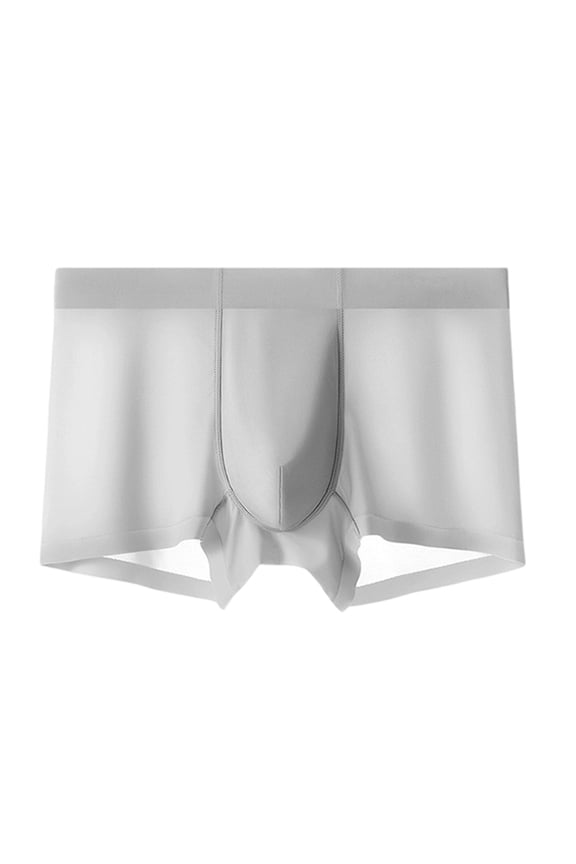 Men'S Bulge Briefs See Through Underwear Breathable Lightweight Low Rise Pouch Underpants Light Gray L