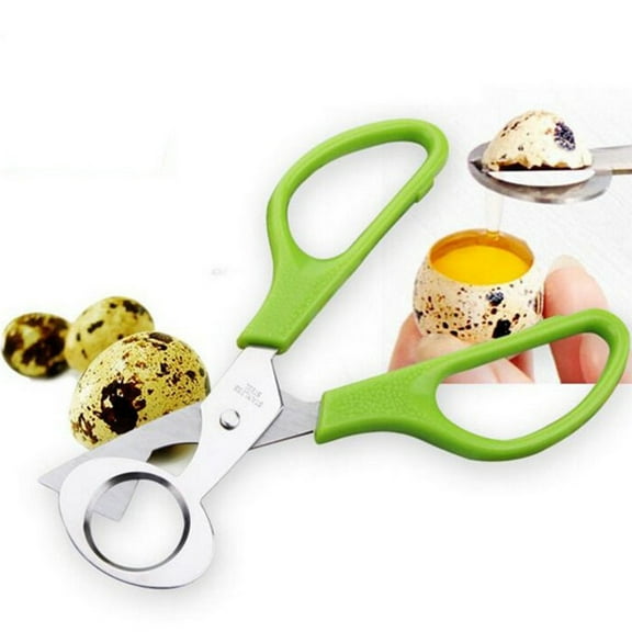 VVQ Quail Egg Scissors Opener, Stainless Steel Quail Egg Cutter Tool, Easy Kitchen Scissors for Quail Eggs Shell Cutter with ABS Handle