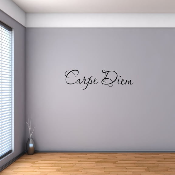 VWAQ Carpe Diem Vinyl Wall Decal Inspirational Quote Wall Art Saying Matte Black Sticker (6.5"H x 22"W)
