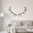 thumbnail image 1 of VWAQ Elk Skull Removable Wall Decal - PT2, 1 of 1