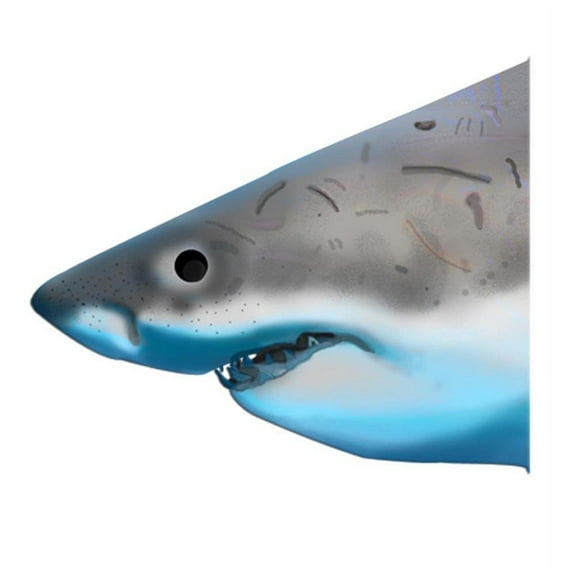 VWAQ Great White Shark Head Peel and Stick Wall Decal