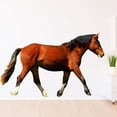 thumbnail image 1 of VWAQ Horse Vinyl Wall Decals for Kids Rooms - Wild Mustang Wall Art Stallion Decor Mural - PAS21 (9" H X 15" W), 1 of 2