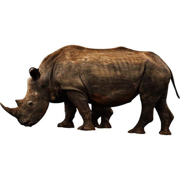 VWAQ Rhino Vinyl Wall Sticker - Rhinoceros Decor, Realistic Animal Wall Decals - PAS25 (20" H X 40" W)