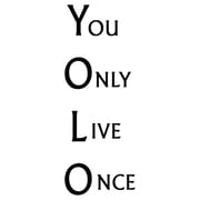 VWAQ YOLO Wall Decal You Only Live Once YOLO Wall Quote Vinyl Lettering Acronym