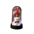 thumbnail image 1 of VWRXBZ Rose Bear LED Night Light 6.1 Inch Valentine's Day Gift Romantic Preserved Flower in Glass Dome with Bow Decor for Bedroom Desktop Home Decor, 1 of 7