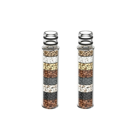 VXV Two Shower Head Filters price history and forecast - VXV