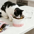 thumbnail image 1 of Vacemry under $5 Elevated Ceramic Cat Bowl, Ceramic Cat Food Bowl Large Capacity Pet Dish for Drinking Eating, Raised Design to Reduce Neck Strain, Easy to Clean Hygienic Surface, 1 of 6
