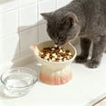 thumbnail image 1 of Vacemry under $5 Elevated Ceramic Cat Bowl, Ceramic Cat Food Bowl Large Capacity Pet Dish for Drinking Eating, Raised Design to Reduce Neck Strain, Easy to Clean Hygienic Surface, 1 of 6