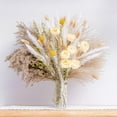 thumbnail image 1 of Vacemry under $5 Pampas Grass, Pampas Grass Bouquet, Natural Dried Flowers for Home Wedding Decor, Tall Feathery Stems for Vase Floor Arrangement, Bohemian Room Accent, 1 of 9