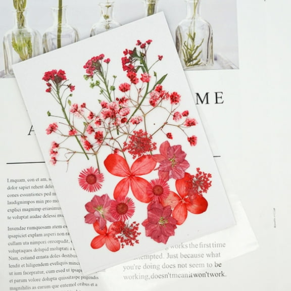 Vacemry 5Pcs Pressed Flower Kit,DIY Natural Dried Flower Collection for Art and Crafts, Assorted Real Flower Petals for Face Decor and Jewelry, Decorative Dry Flower Pack for Creative Projects