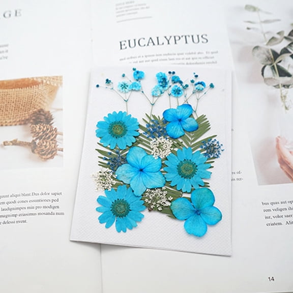 Vacemry 5Pcs Pressed Flower Kit,DIY Natural Dried Flower Collection for Art and Crafts, Assorted Real Flower Petals for Face Decor and Jewelry, Decorative Dry Flower Pack for Creative Projects