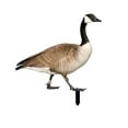 thumbnail image 1 of Vacemry Garden Duck, Acrylic Garden Duck Decoration, Outdoor Yard Art for Lawn Patio, Weather Resistant Silhouette Stake, Adds Whimsical Touch to Garden, Fun & Durable, 1 of 2