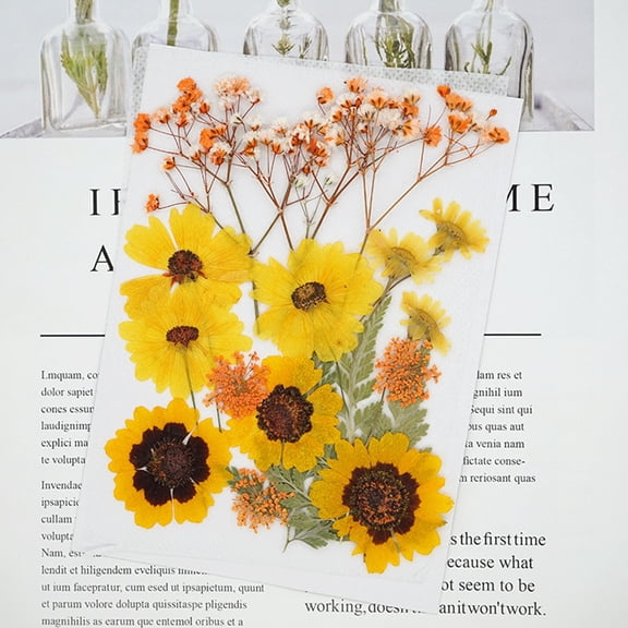Vacemry Pressed Flower Kit, DIY Natural Dried Flower Collection for Art and Crafts, Assorted Real Flower Petals for Face Decor and Jewelry, Decorative Dry Flower Pack for Creative Projects